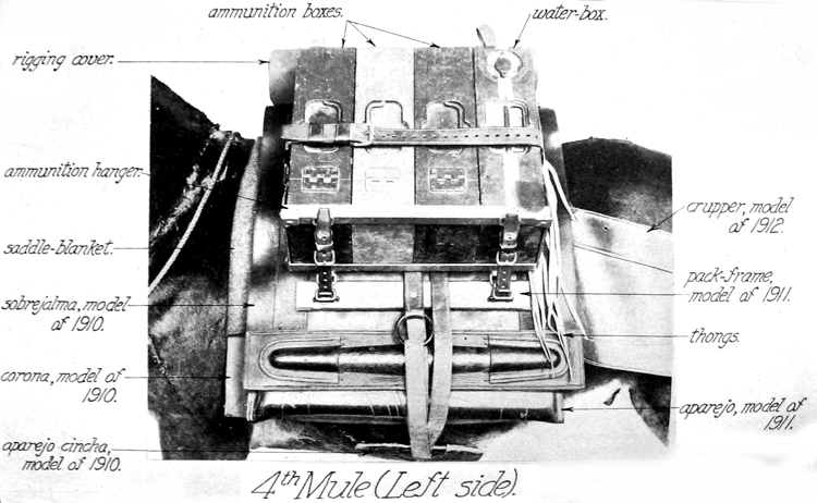 4th Mule (Left Side)