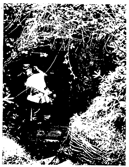 Figure 34,—Camouflaged shelter.