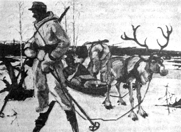 REINDEER used in evacuation of German wounded, Kandalaksha front