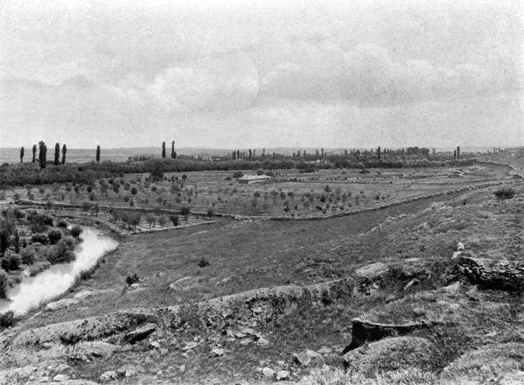 Front line and place before position of the Suzdal Infantry Regiment