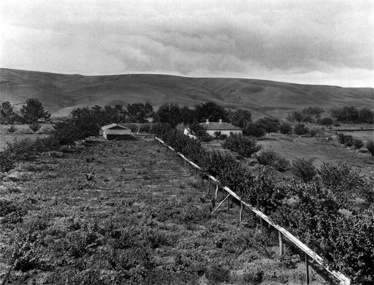 Advance path of the French General Canrobert division across the Alma