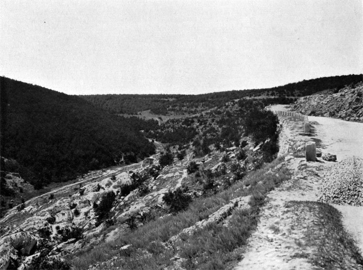 Upper part of the Quarry Ravine