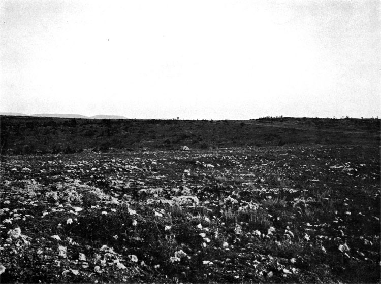 View from Lancaster battery to Victoria Redoubt along forward positions of General Condrington brigade